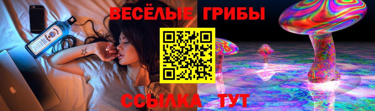 Псилоцибиновые грибы Magic Shrooms Пермь