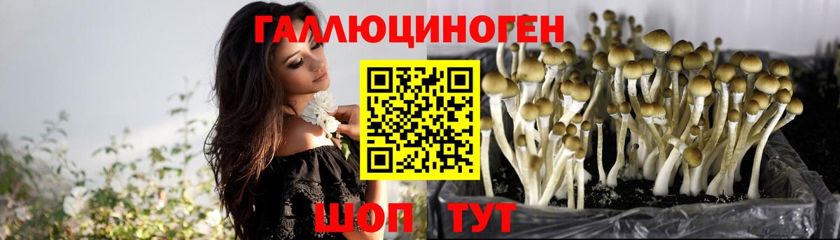 Пермь  Галлюциногенные грибы Psilocybine cubensis  купить наркотики цена  Вход с VPN 